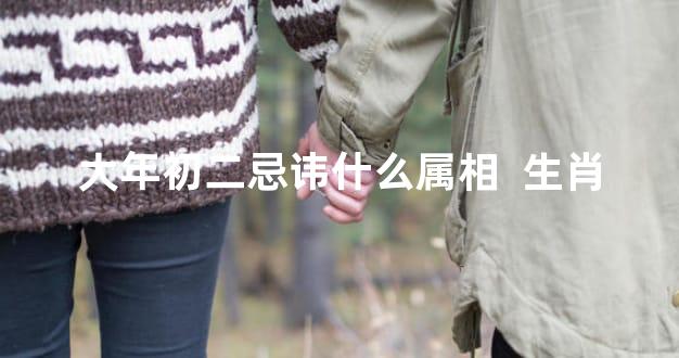 大年初二忌讳什么属相  生肖